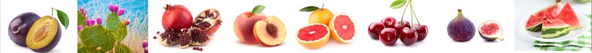 fruit 2 flattened 2.jpg